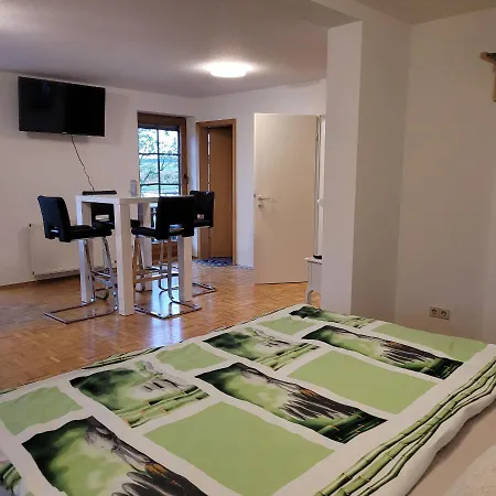 Im Schwarzwaldhaus アパート Hüfingen