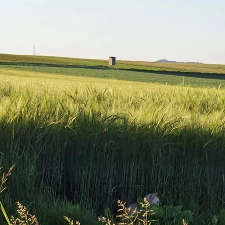 Im Schwarzwaldhaus *